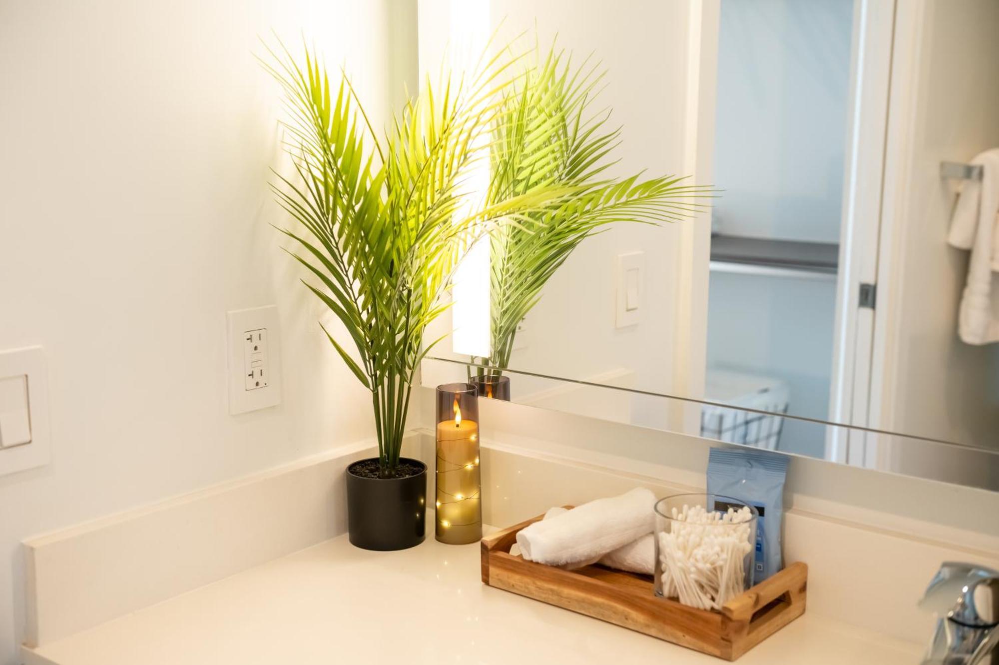Luxurious King Bed Suite In Downtown Μαϊάμι Εξωτερικό φωτογραφία